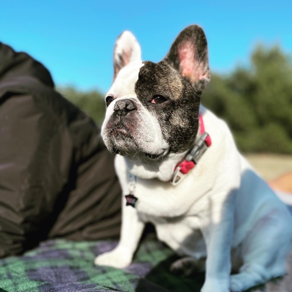 Meet your Posher, Jeesu - Picture 1 of 1